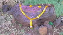 Les traditions floristiques de l'Inde en peril. La coupable: la fleur coupée. Les traditions floristiques de l'Inde en peril. La coupable: la fleur coupée.