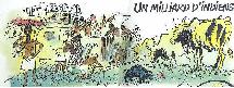 L'INDE ET SES VACHES SACREES