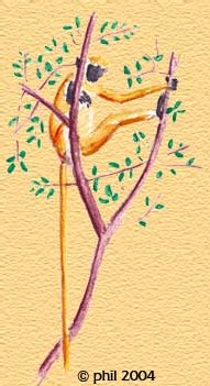Carnet de Route Inde (Rajasthan), écrit et illustré par Philippe Bichon.