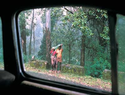 Raghubir Singh, un photographe indien mondialement connu Raghubir Singh, un photographe indien mondialement connu