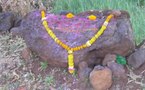 Les traditions floristiques de l'Inde en peril. La coupable: la fleur coupée.